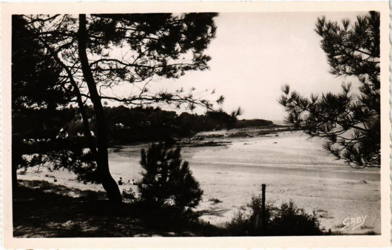 Carte postale ancienne Saint-Brevin-l'Ocean --les-Pins et le Pointeau