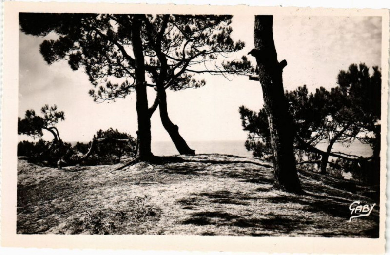 Carte postale ancienne Saint-Brevin-l'Ocean - La Plage et-les-Pins