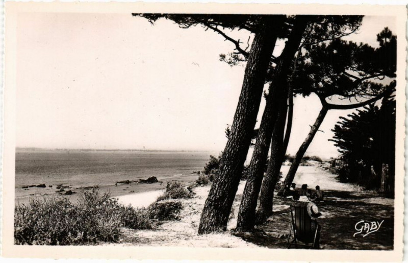 Carte postale ancienne Saint-Brevin-l'Ocean --les-Pins et la Plage du Pointeau