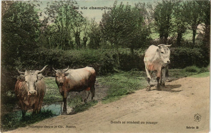 Carte postale ancienne La vie Champetre