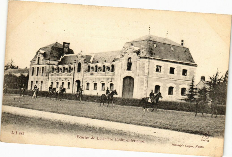 Carte postale ancienne Ecuries de Luciniere