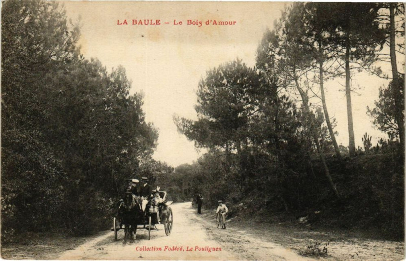 Carte postale ancienne La Baule - Le Bois d'Amour