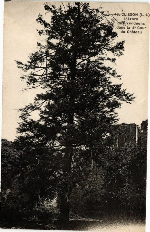 Carte postale ancienne Clisson-L'Arbredes Vendéens à Clisson