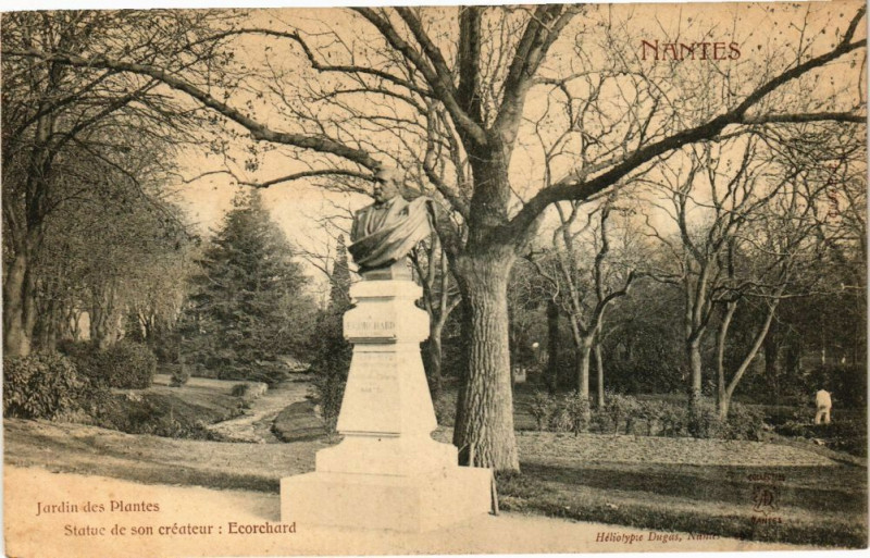 Carte postale ancienne Nantes - Jardin des Plantes - Statue de son createur Ecorchard à Nantes