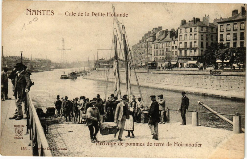 Carte postale ancienne Nantes - Cale de la Petite-Hollande-Arrivage de pommes de terre.. à Nantes