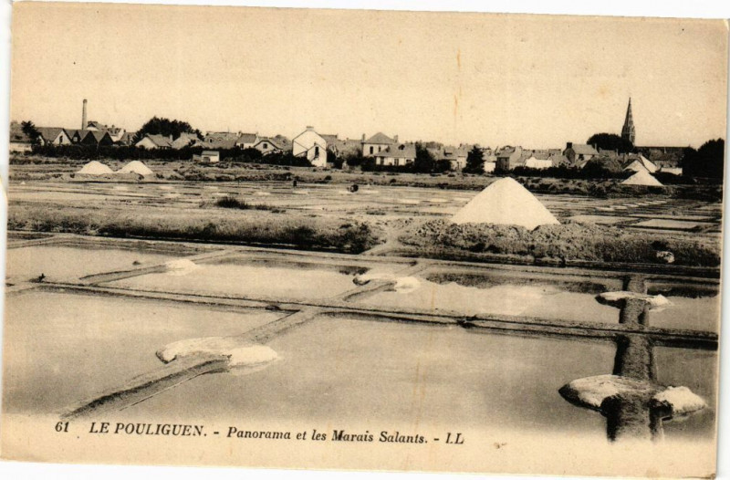 Carte postale ancienne Le Pouliguen - Panorama et les Marais Salants au Pouliguen