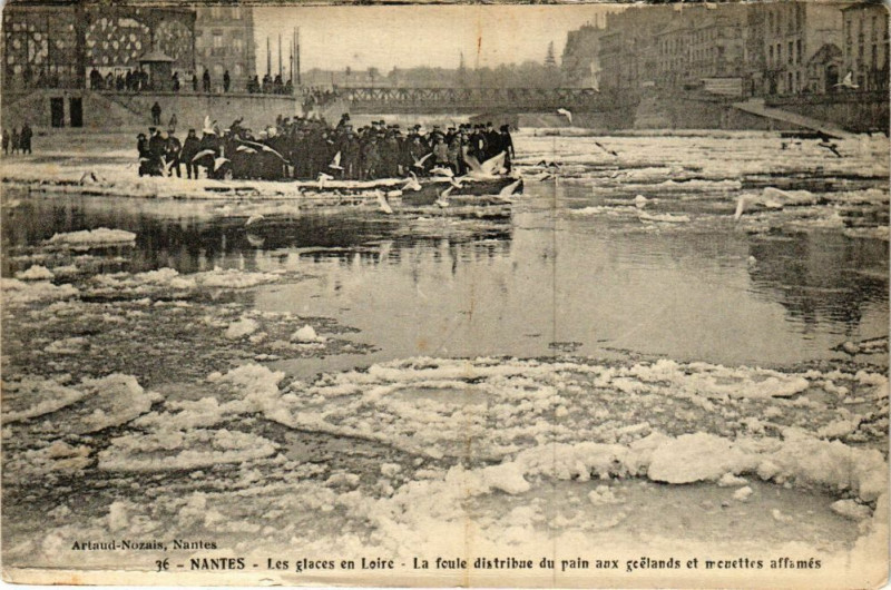 Carte postale ancienne Nantes - Les glaces en Loire - La foule distribue du pain aux à Nantes