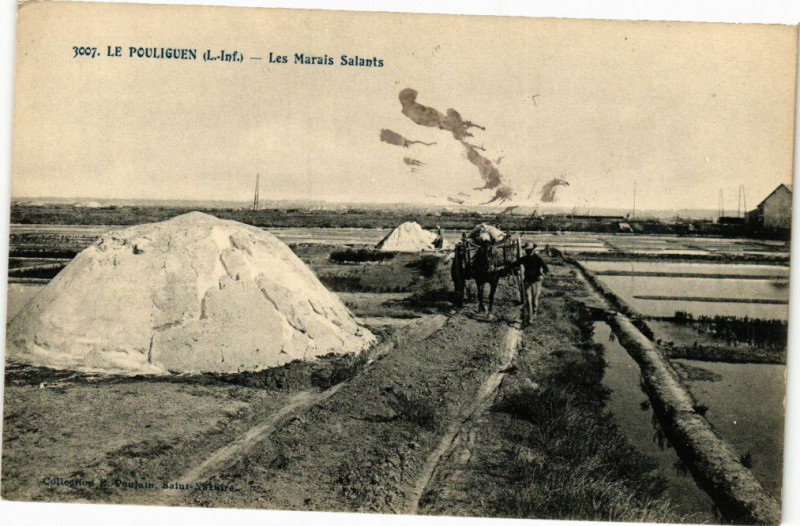 Carte postale ancienne Le Pouliguen - les Marais Salanis au Pouliguen