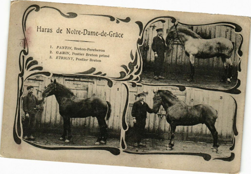 Carte postale ancienne Haras de Notre-Dame-de-Grace...