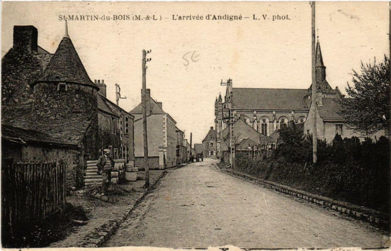 Carte postale ancienne Saint-Martin-du-Bois L'Arrivée d'Andigne