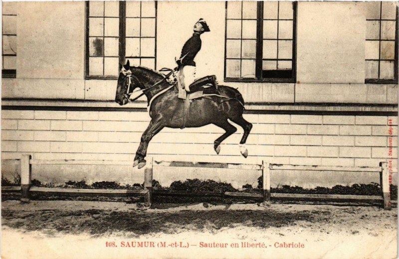 Carte postale ancienne Saumur Sauteur en liberte Cabriole à Saumur