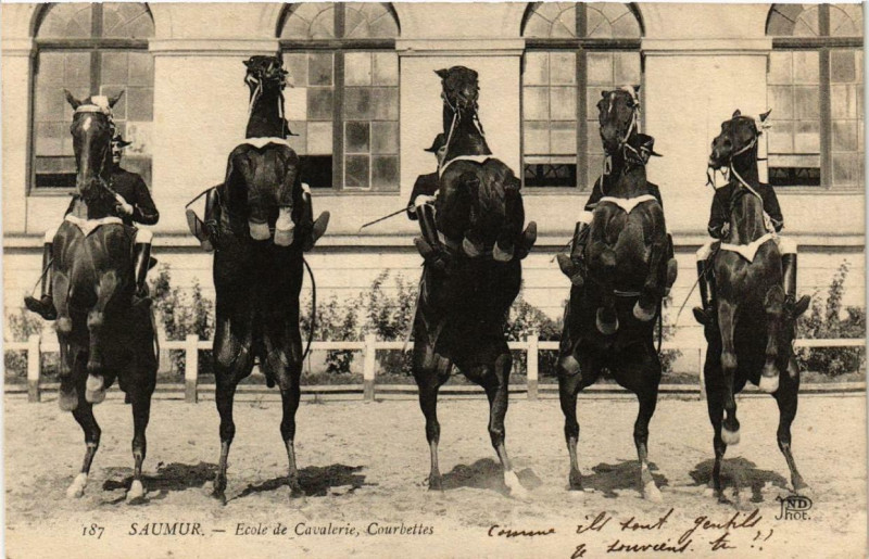 Carte postale ancienne Saumur Ecole de Cavalerie Courbettes à Saumur