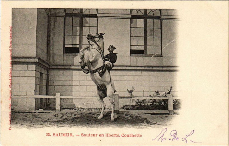 Carte postale ancienne Saumur Sauteur en liberte Courbette à Saumur