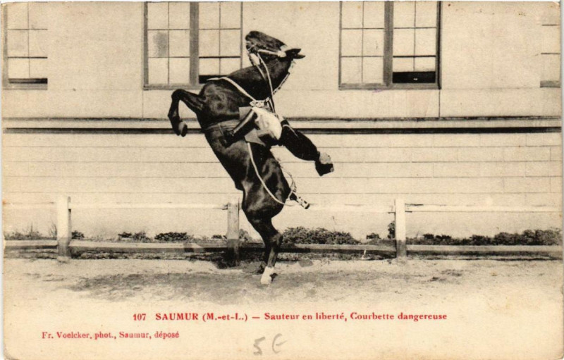 Carte postale ancienne Saumur Sauteur en liberte Courbette dangereuse à Saumur
