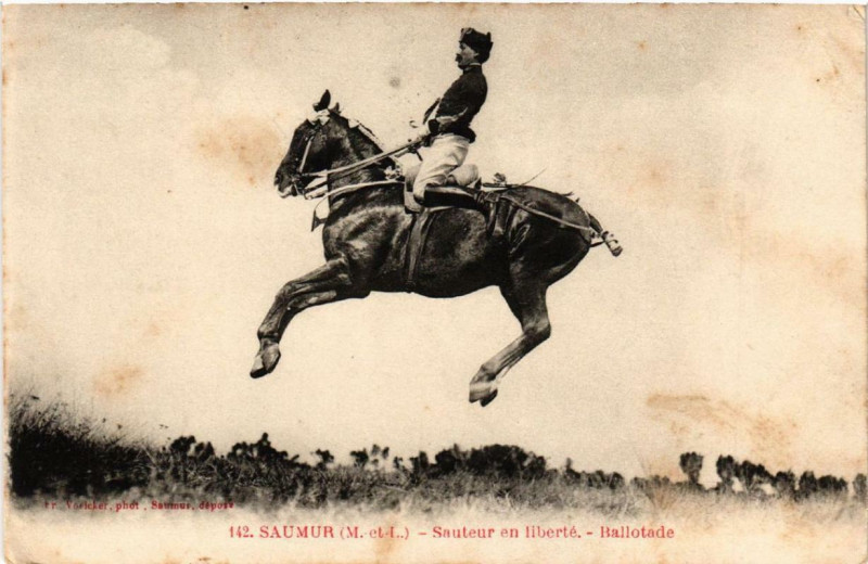 Carte postale ancienne Saumur Sauteur en liberte Ballotade à Saumur