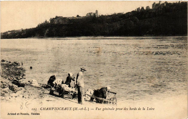 Carte postale ancienne Champtoceaux Vue générale prise des bords de la Loire à Loiré