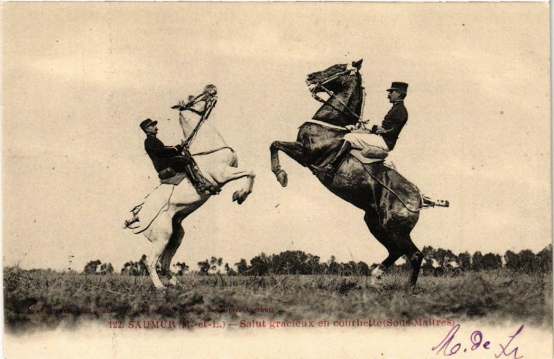 Carte postale ancienne Saumur Salut gracieux en courbette à Saumur