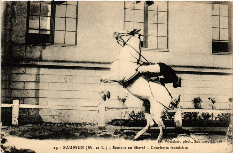 Carte postale ancienne Saumur Sauteur en liberte Courbette fantaisiste à Saumur