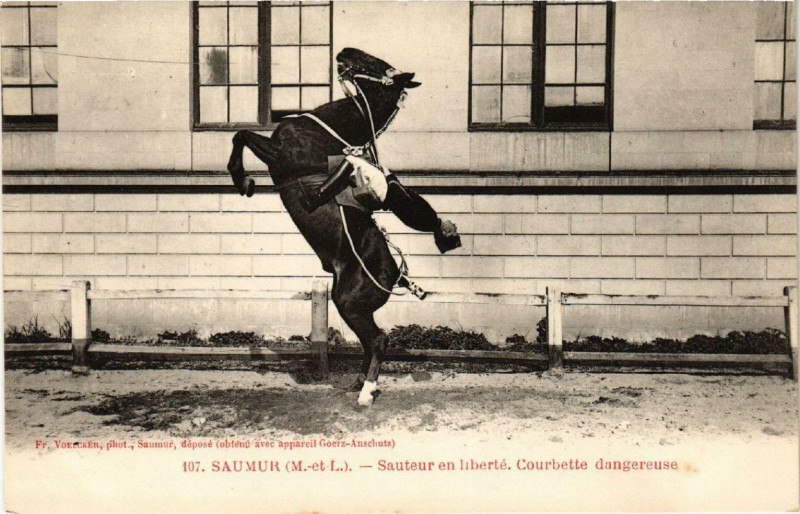 Carte postale ancienne Saumur Sauteur en liberte Courbette dangereuse à Saumur