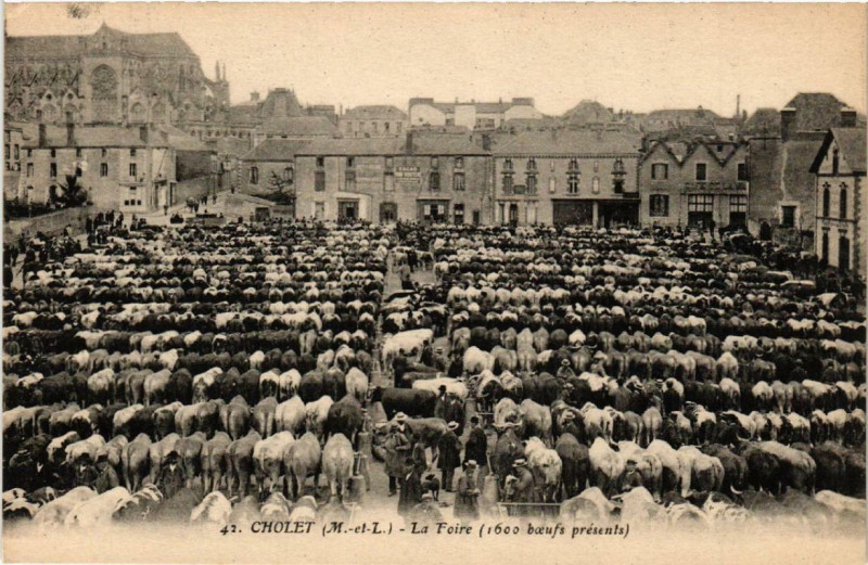 Carte postale ancienne Cholet La Foire à Cholet