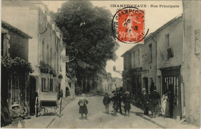 Carte postale ancienne Champtoceaux - Rue Principale