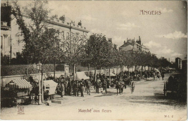 Carte postale ancienne Angers - Marche aux fleurs à Angers