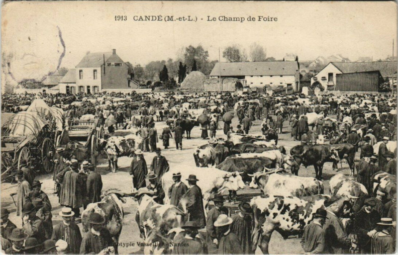 Carte postale ancienne Cande- Le Champ de Foire à Candé