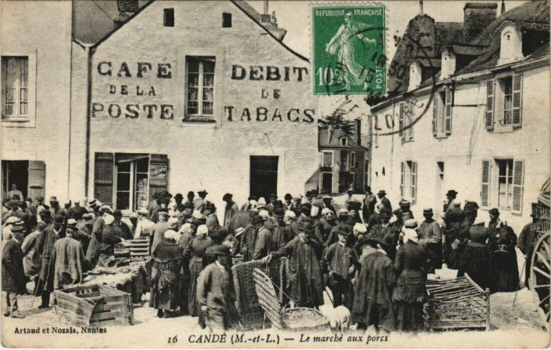 Carte postale ancienne Cande- Le Marche aux porcs à Candé