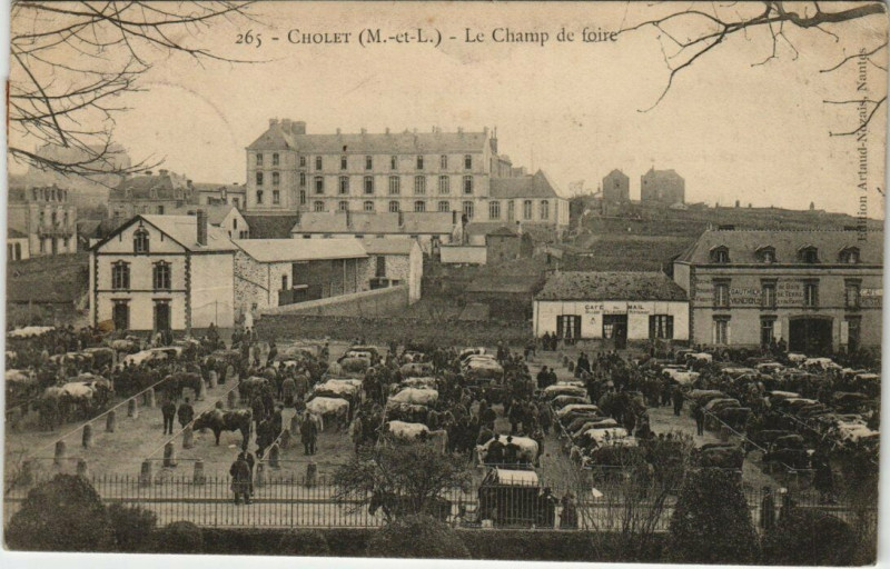 Carte postale ancienne Cholet - La Champ de Loire à Cholet