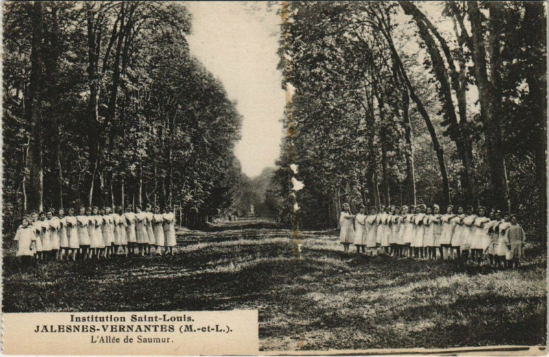 Carte postale ancienne Institution Saint-Louis - Jalesnes-Vernantes - L'Alle des Saumur à Saumur