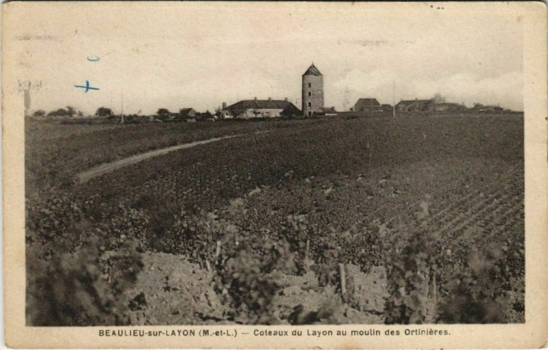 Carte postale ancienne Beaulieu sur le Layon-Coteaux du Layon au moulin des Ortinieres