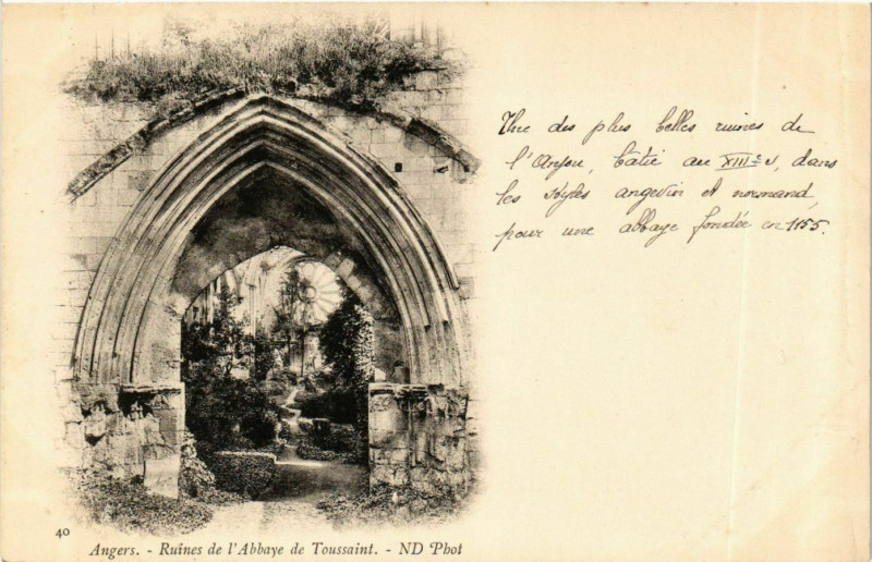 Carte postale ancienne Angers Ruines de l'Abbaye du TousSt à Angers