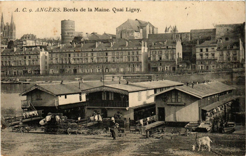 Carte postale ancienne Angers - Bords dela Maine Quai Ligny à Angers