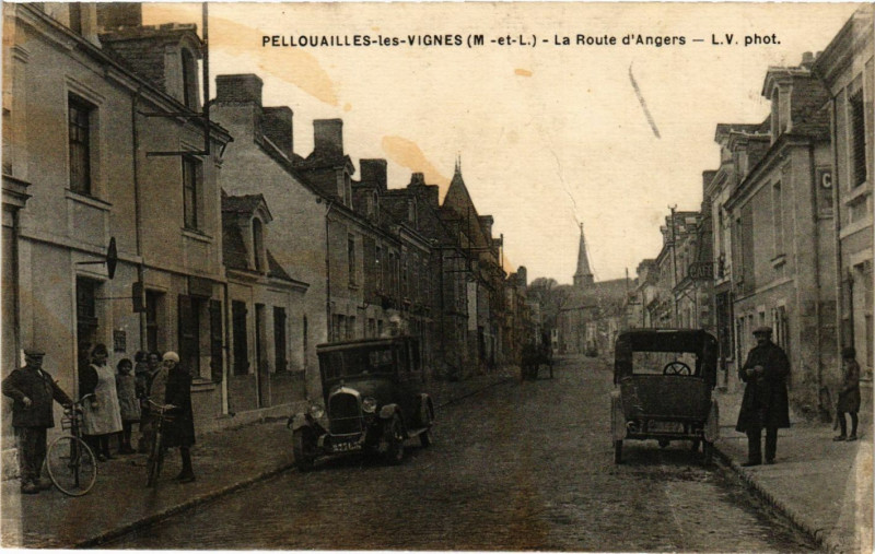 Carte postale ancienne Pellouailles-les-Vignes - La Route d'Angers à Angers