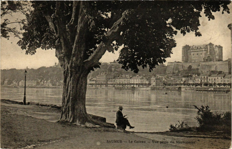 Carte postale ancienne Saumur - Le Coteau - Vue prise du Marronnier à Saumur