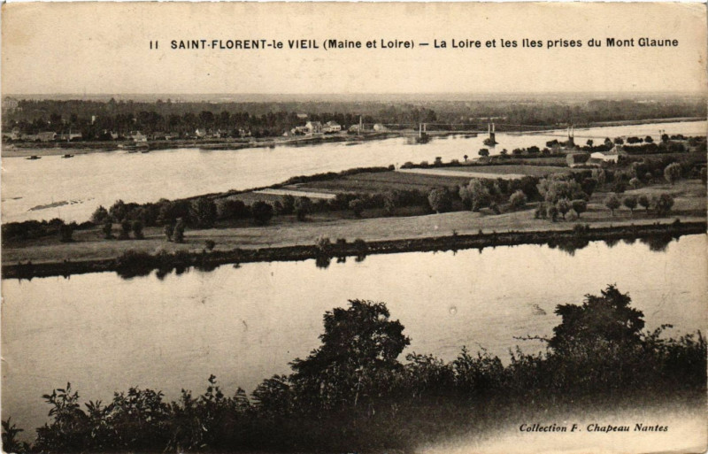 Carte postale ancienne Saint-Florent-le-Vieil - La Loire et les Iles prises à Loiré
