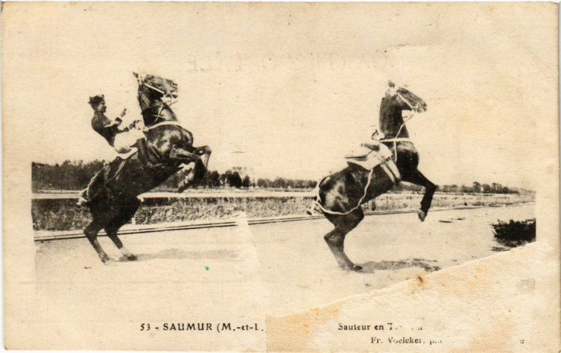 Carte postale ancienne Saumur Sauteur en T. à Saumur