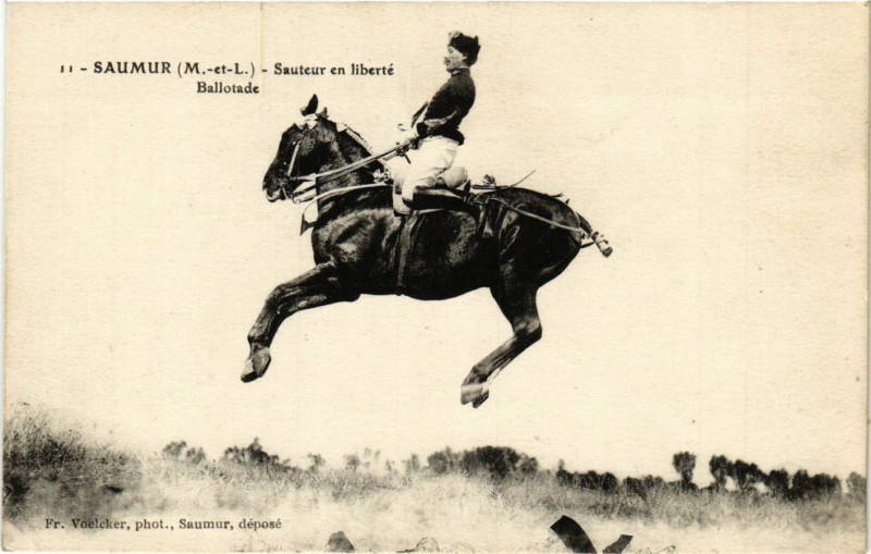 Carte postale ancienne Saumur - Sauteur en liberte à Saumur