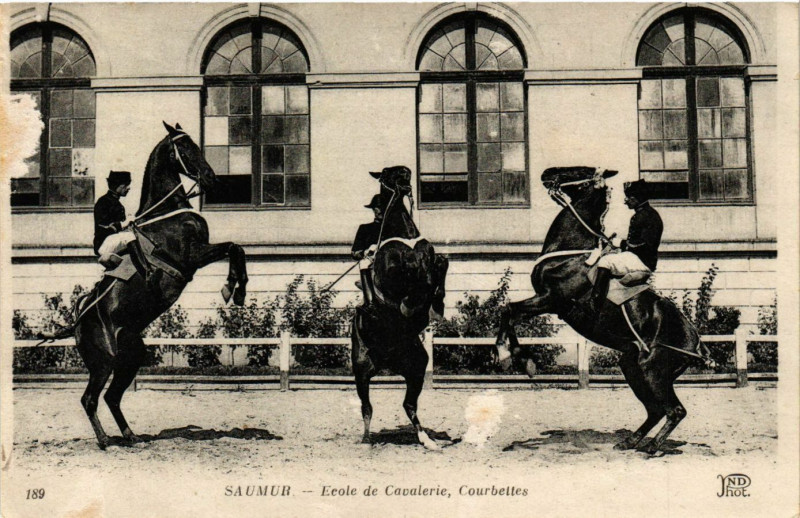 Carte postale ancienne Saumur - Ecole de Cavalerie Courbettes à Saumur