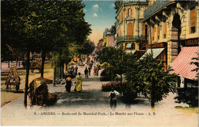 Carte postale ancienne Angers - Boulevard du Marechal-Foch - Le Marche aux Fleurs à Angers
