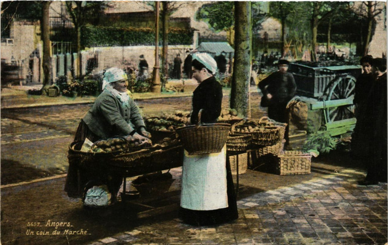 Carte postale ancienne Angers - Un coin du marche à Angers