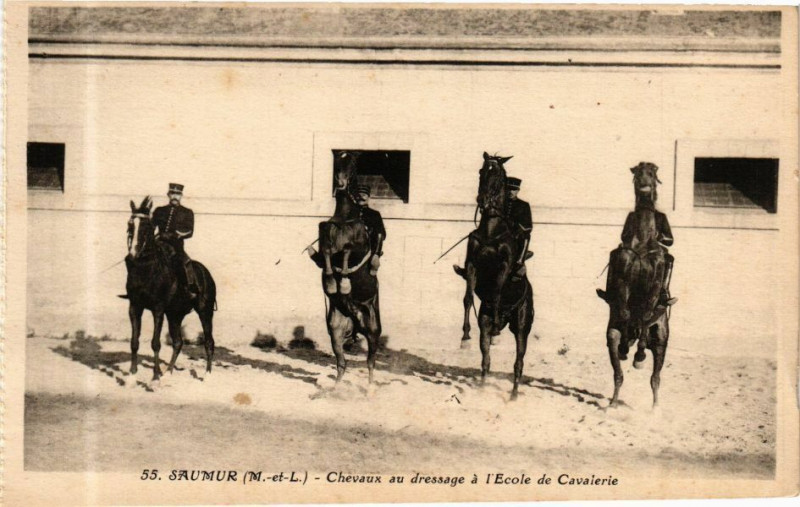 Carte postale ancienne Saumur - Chevaux au dressage a l'Ecole de Cavalerie à Saumur