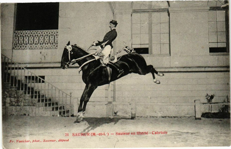 Carte postale ancienne Saumur - Sauteur en liberte à Saumur