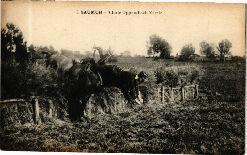 Carte postale ancienne Saumur - Chute Oppendisch Verrie à Saumur