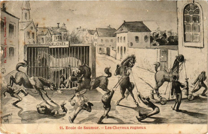 Carte postale ancienne Ecole de Saumur - Les Chevaux rogneux à Saumur