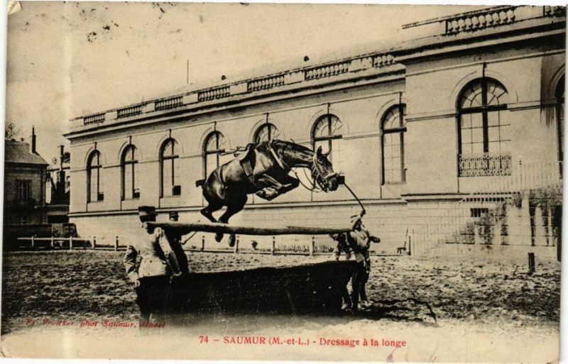 Carte postale ancienne Saumur - Dressage a la longe à Saumur