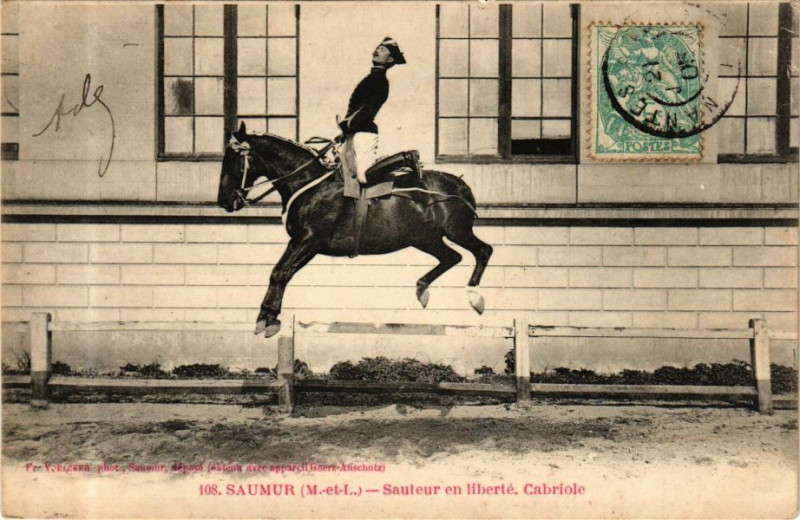 Carte postale ancienne Saumur - Sauteur en liberte à Saumur