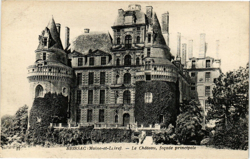 Carte postale ancienne Brissac-Le Chateau