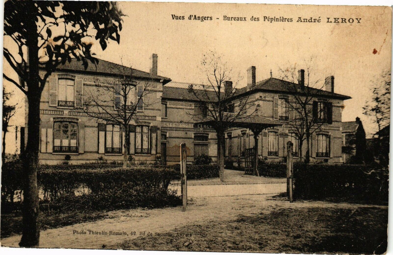 Carte postale ancienne Vues d'Angers - Bureaux des Pepinieres Andre Leroy à Angers