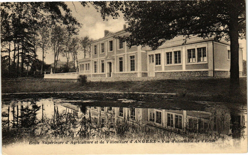 Carte postale ancienne Angers-Vue d'ensemble de l'Ecole à Angers
